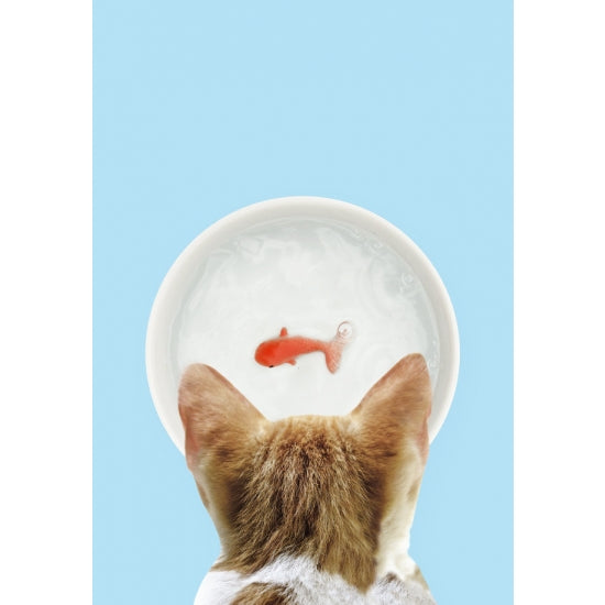 FISCH Fressnapf